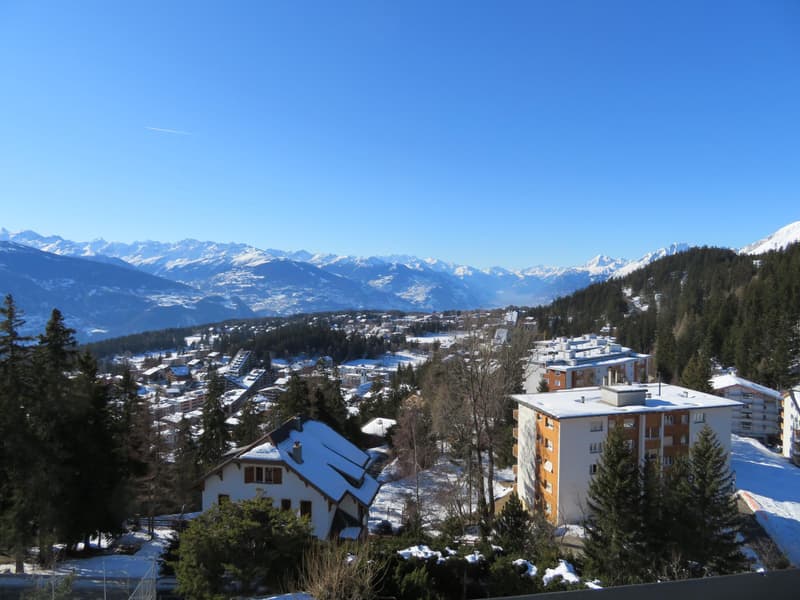 Joli studio avec vue sur les Alpes (6)