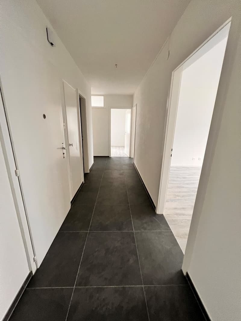 hall_dentree.jpg