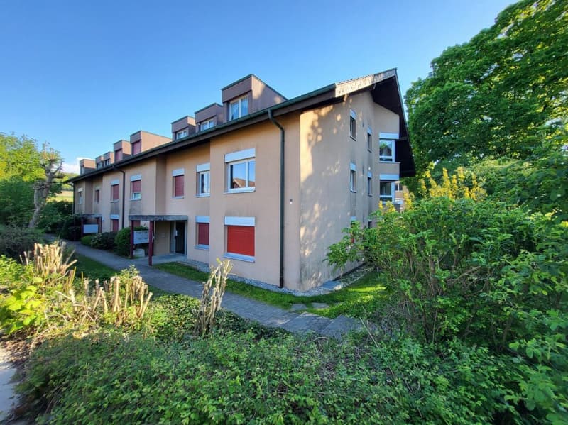 5 Appartements de 4.5 pces / 5 Wohnungen von 4.5 Zimmern - Bösingen (3)