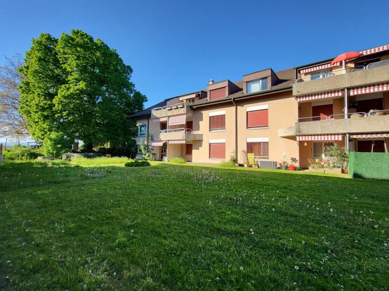 5 Appartements de 4.5 pces / 5 Wohnungen von 4.5 Zimmern - Bösingen (2)