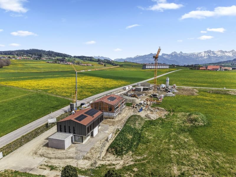 6 Villas jumelées neuves de 5.5 pces à Sâles (3)