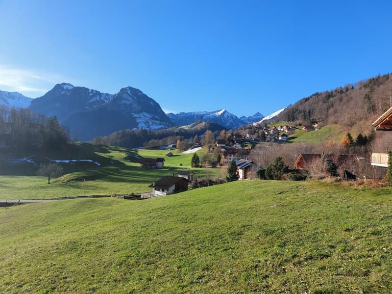 A0 - Appartement neuf 2.5 pièces au rez-de-chaussée, aux Sciernes d'Albeuve (5)