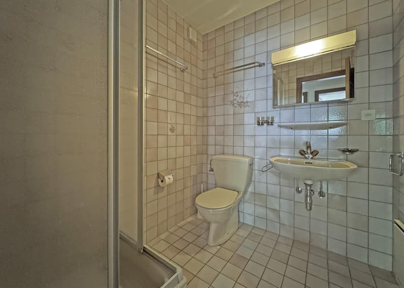 Bel appartement traversant de 4.5 pièces au bord de la Dranse (11)