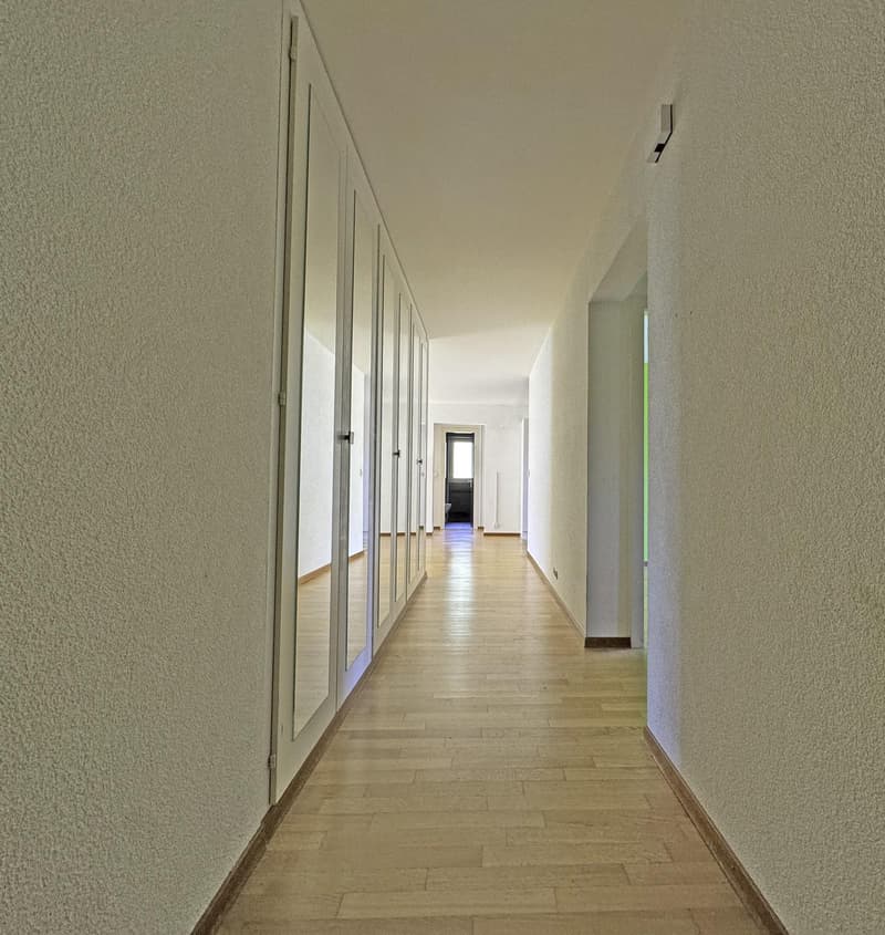 Spacieux appartement de 5,5 pièces avec 2 balcons et place de parc intérieure (6)