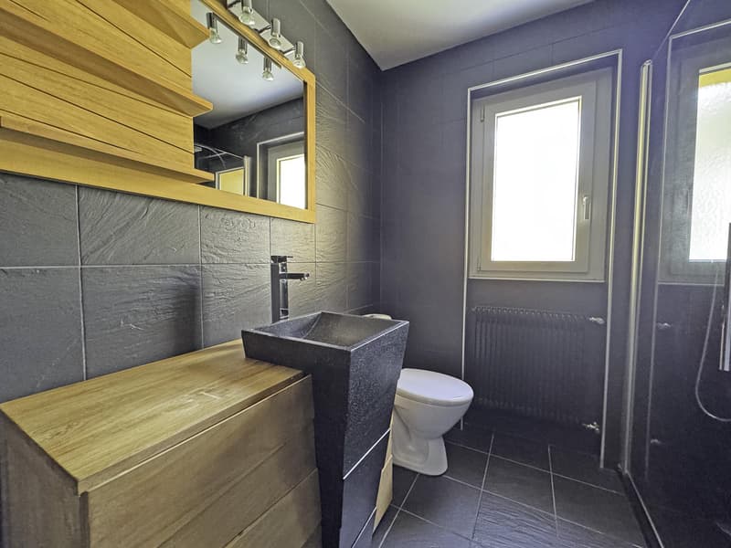 Spacieux appartement de 5,5 pièces avec 2 balcons et place de parc intérieure (9)