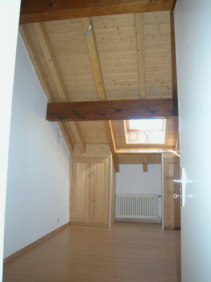 Corsier au calme, dans belle bâtisse campagnarde, appartement de 3.5 pièces ! (3)