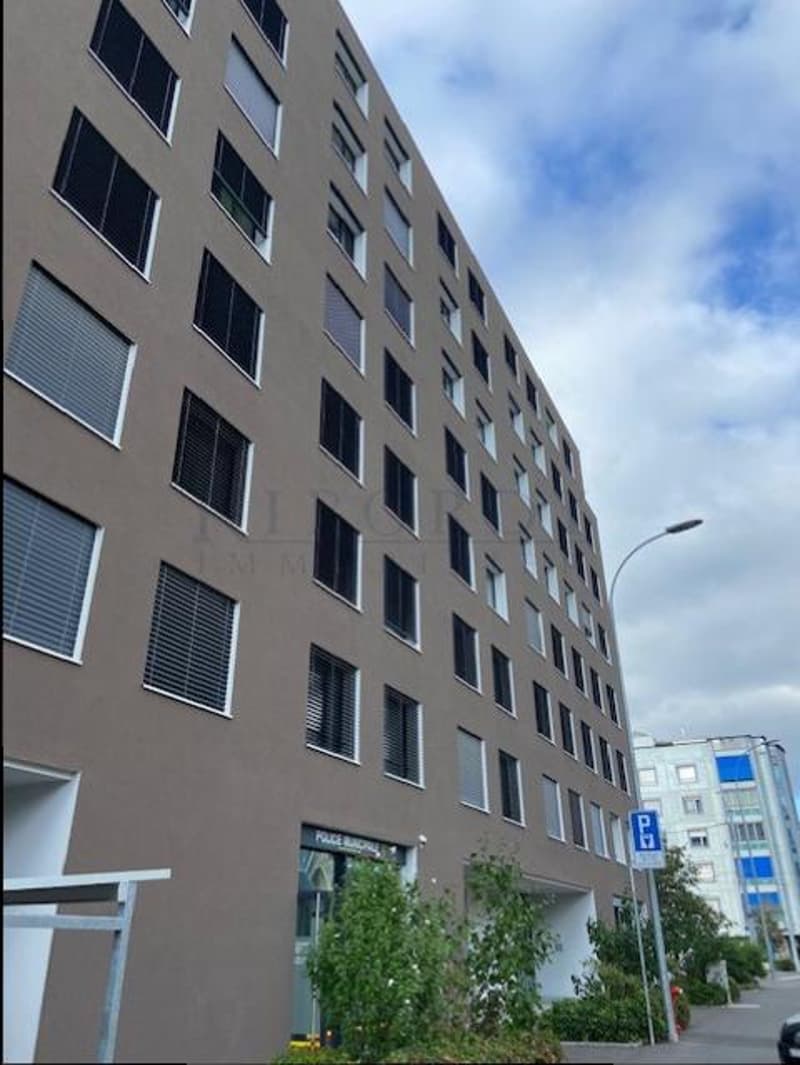 Dans résidence au Petit-Lancy, place de parc intérieure en sous-sol ! (4)