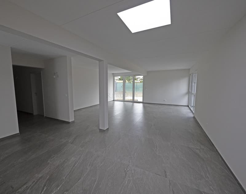 Maison jumelle avec ravissant jardin entièrement clôturé ! (1)