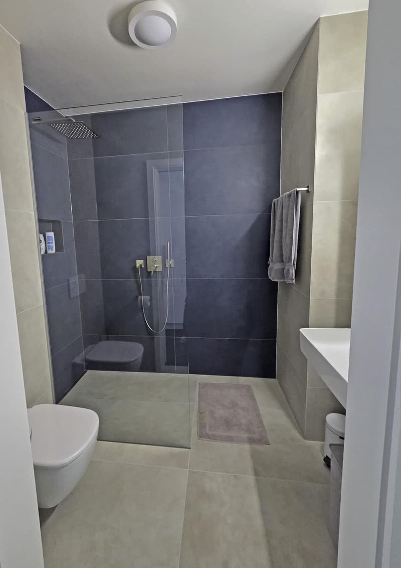 Superbe 3.0 pièces contemporain avec spacieuse terrasse, meublé (7)