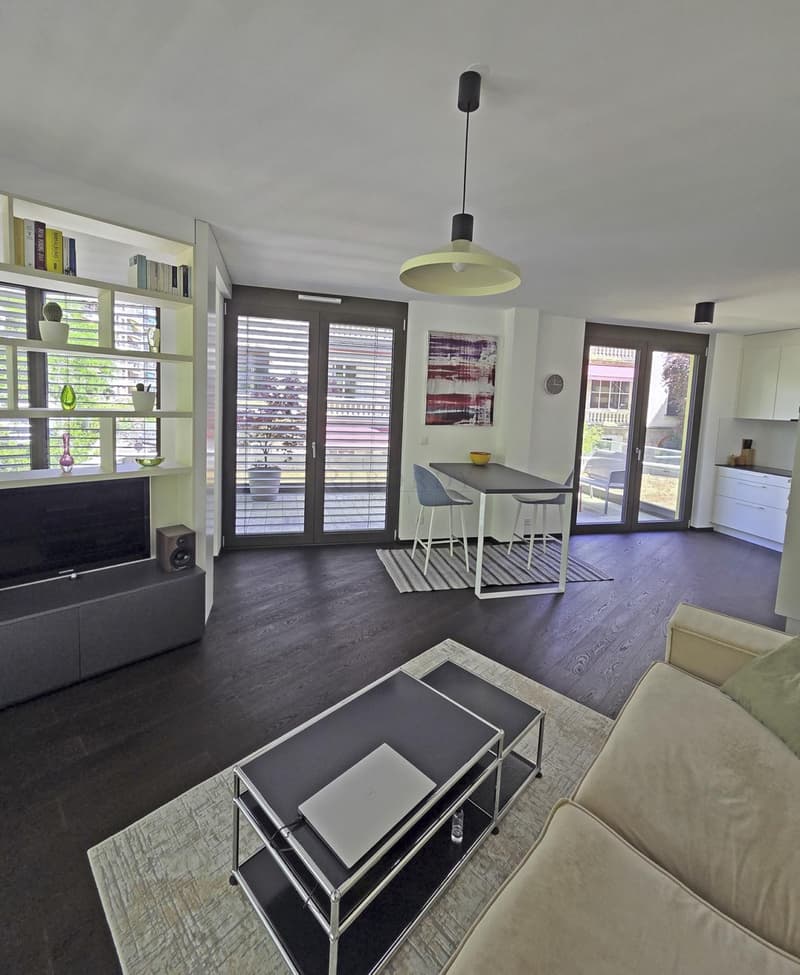 Superbe 3.0 pièces contemporain avec spacieuse terrasse, meublé (2)