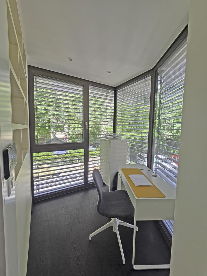 Superbe 3.0 pièces contemporain avec spacieuse terrasse, meublé (5)
