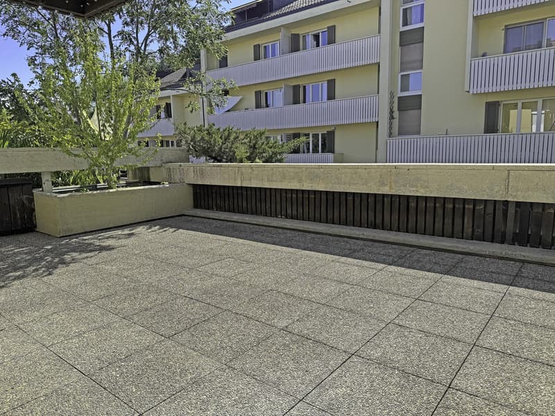 Spacieux, ensoleillé, avec une grande terrasse ainsi qu'un balcon ! (1)