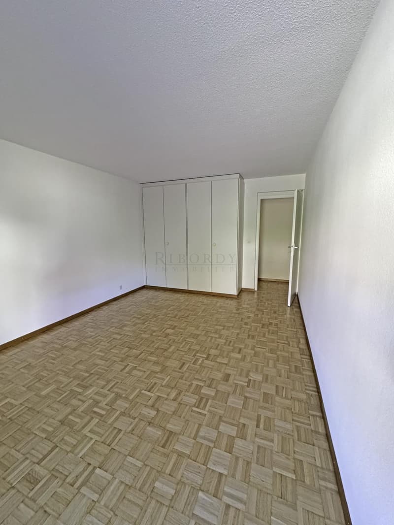 Spacieux, ensoleillé, avec une grande terrasse ainsi qu'un balcon ! (7)