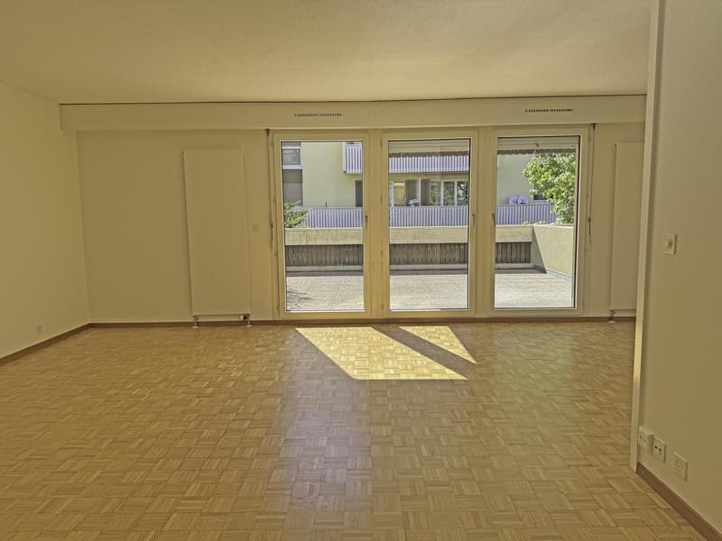 Spacieux, ensoleillé, avec une grande terrasse ainsi qu'un balcon ! (2)