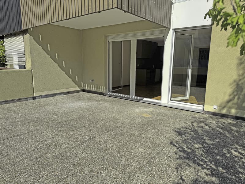 Spacieux, ensoleillé, avec une grande terrasse ainsi qu'un balcon ! (3)