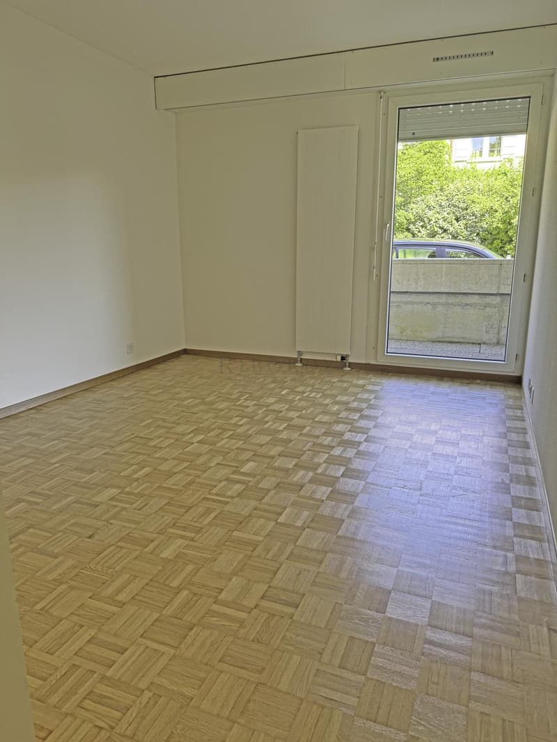 Spacieux, ensoleillé, avec une grande terrasse ainsi qu'un balcon ! (4)