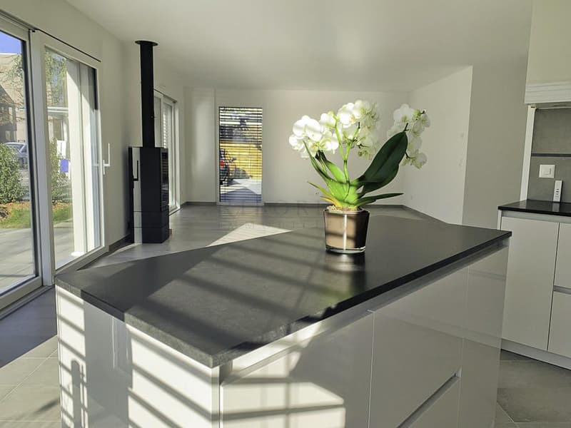 Plateau de Pinchat, superbe villa mitoyenne contemporaine idéalement située (1)