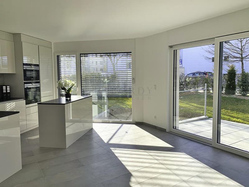 Plateau de Pinchat, superbe villa mitoyenne contemporaine idéalement située (2)