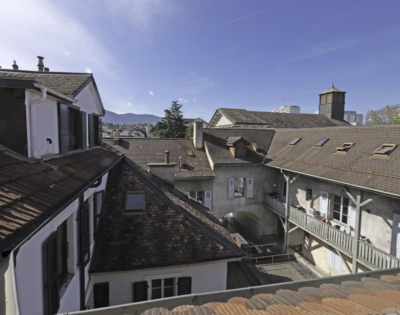 Au coeur du Vieux Carouge, appartement de 67 m2 PPE sous les toits (4)