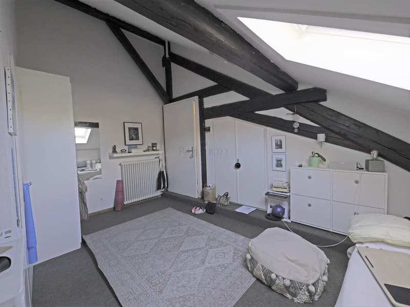 Au coeur du Vieux Carouge, appartement de 67 m2 PPE sous les toits (3)