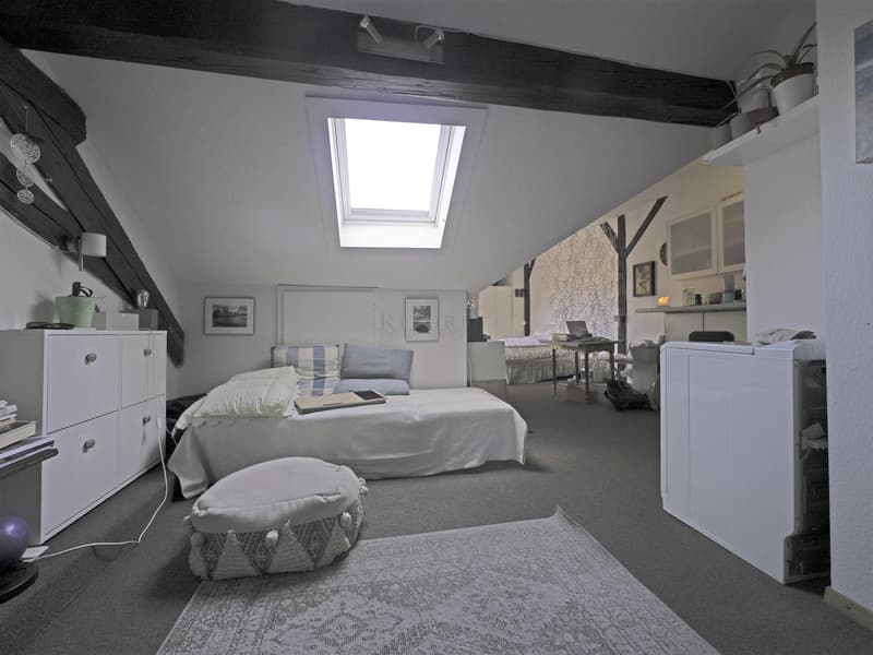 Au coeur du Vieux Carouge, appartement de 67 m2 PPE sous les toits (1)