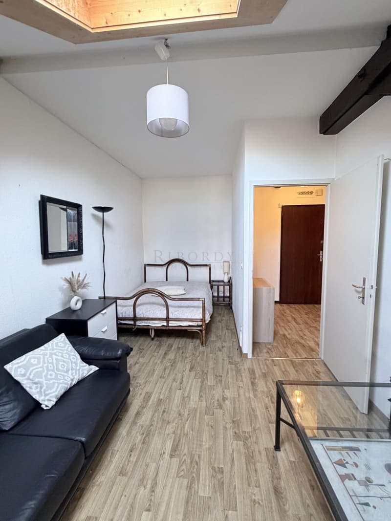 Appartement de 2.0 pièces meublé dans immeuble d'époque ! (5)
