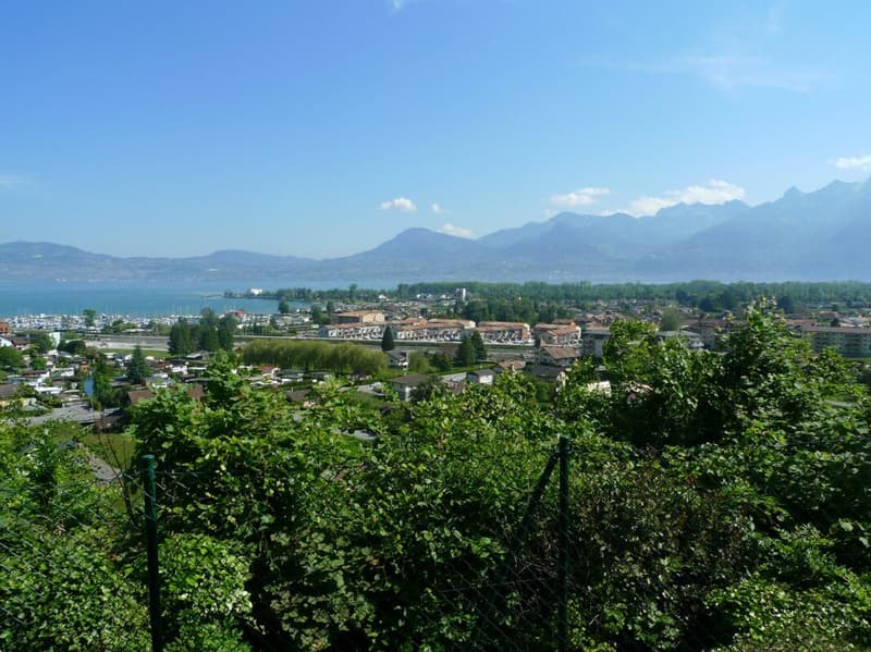 Vue