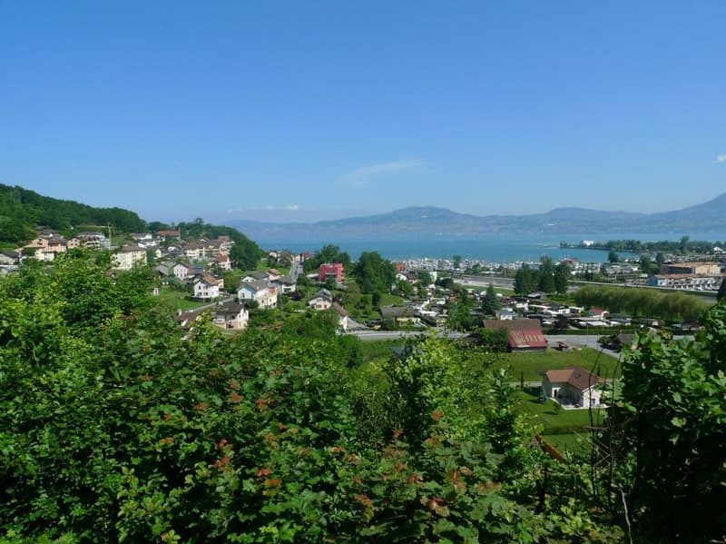 Vue lac