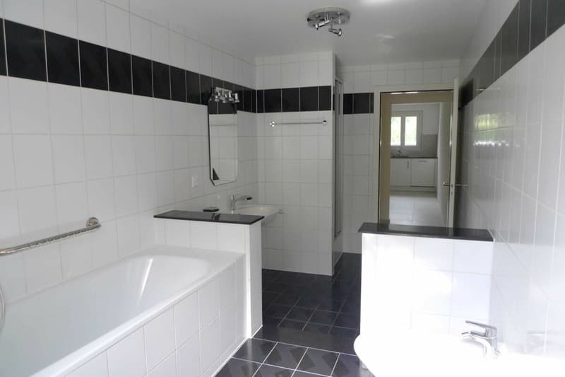 Appartement 2,5 pièces avec jardin (8)