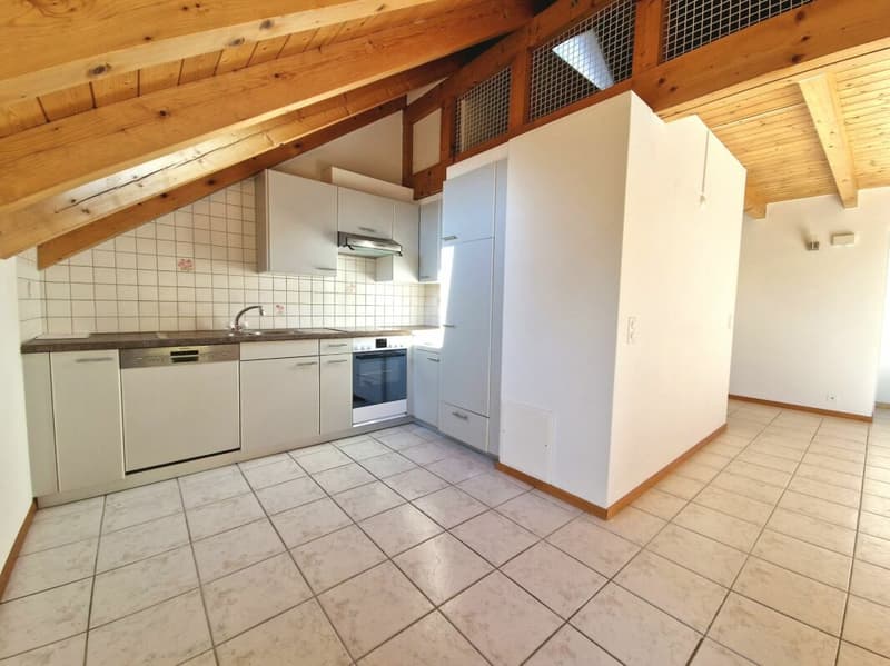 Appartement duplex 3 1/2 pièces avec mezzanine (2)