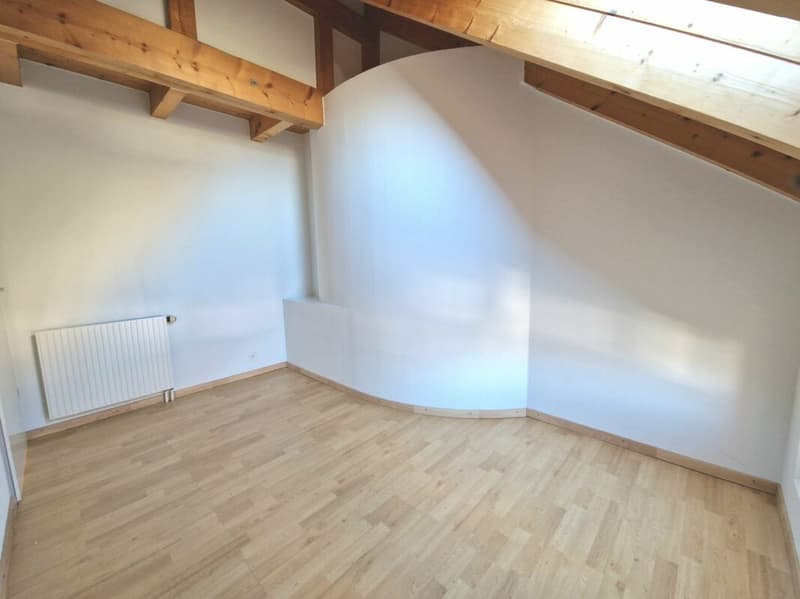 Appartement duplex 3 1/2 pièces avec mezzanine (5)