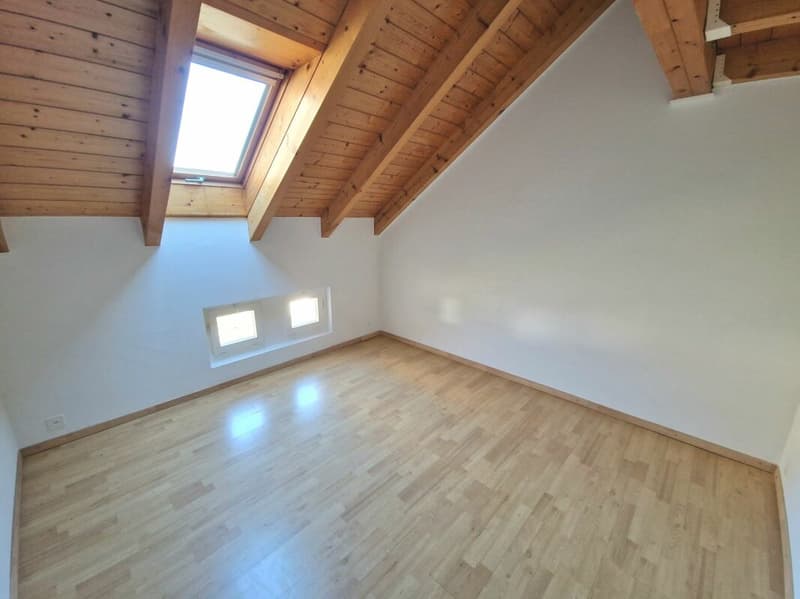 Appartement duplex 3 1/2 pièces avec mezzanine (4)