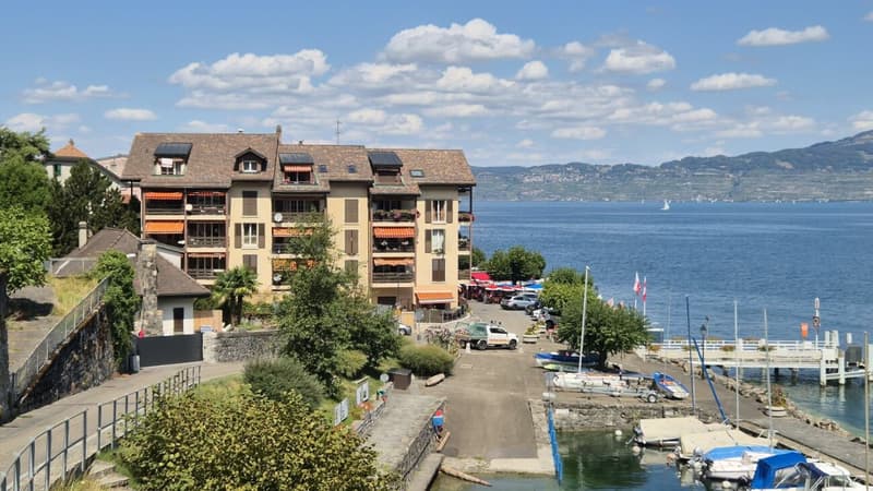 Appartement 3.5 pièces + mezzanine, vue sur lac (1)