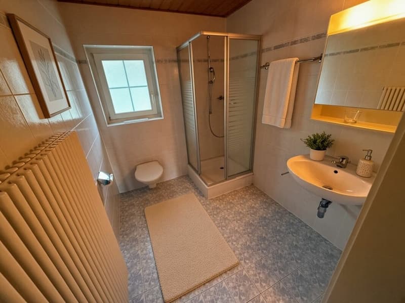 Salle de douche 2