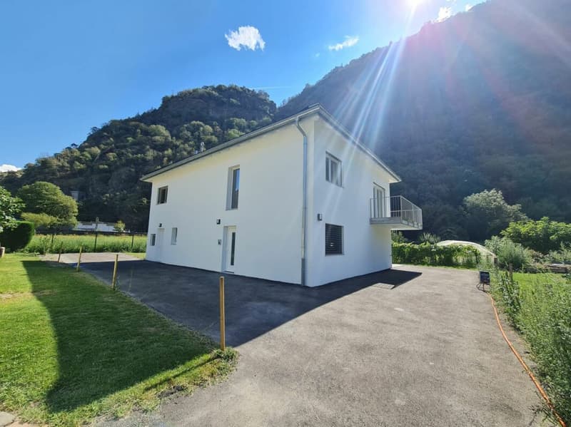 Immeuble de 3 appartements  (2 appartements de 2 pièces et 1 appartement de 4.5 pièces duplex) (4)