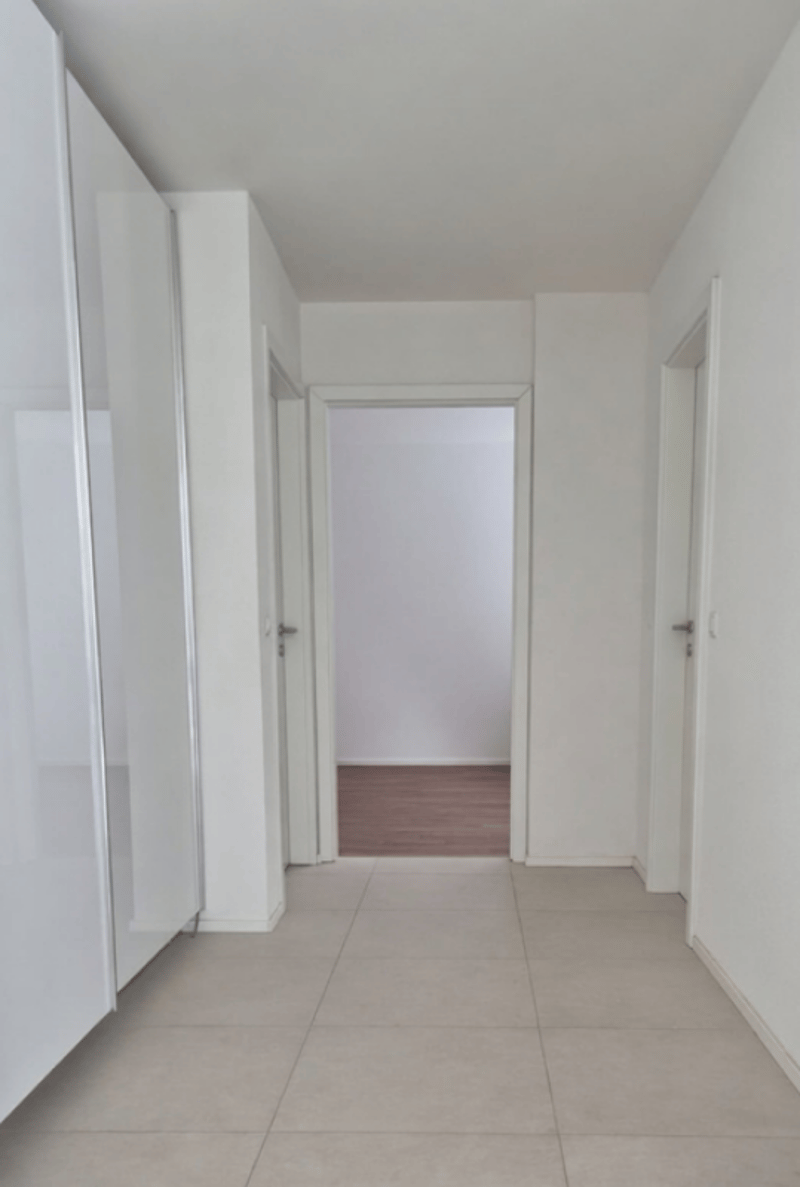 Hall 4.5 pièces