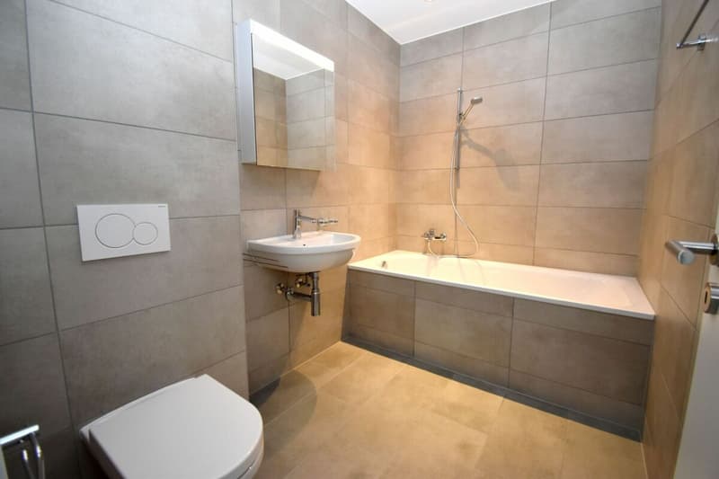 Appartement 3.5 pièces rez-de-chaussée (9)