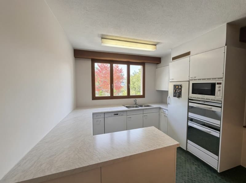 Spacieuse villa d'architecte sur grand terrain de 2'857 m2 (9)