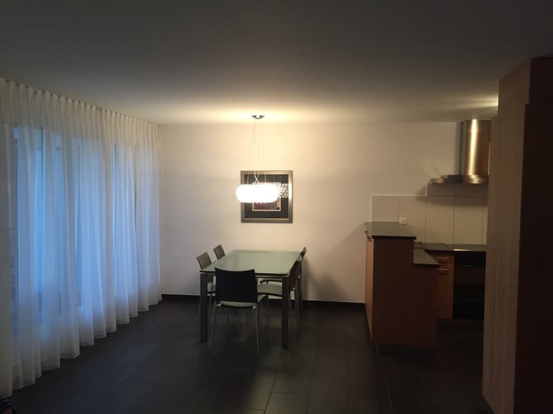 Moderne 3 1/2 Zimmer Ferienwohnung wochenweise zu vermieten (8)