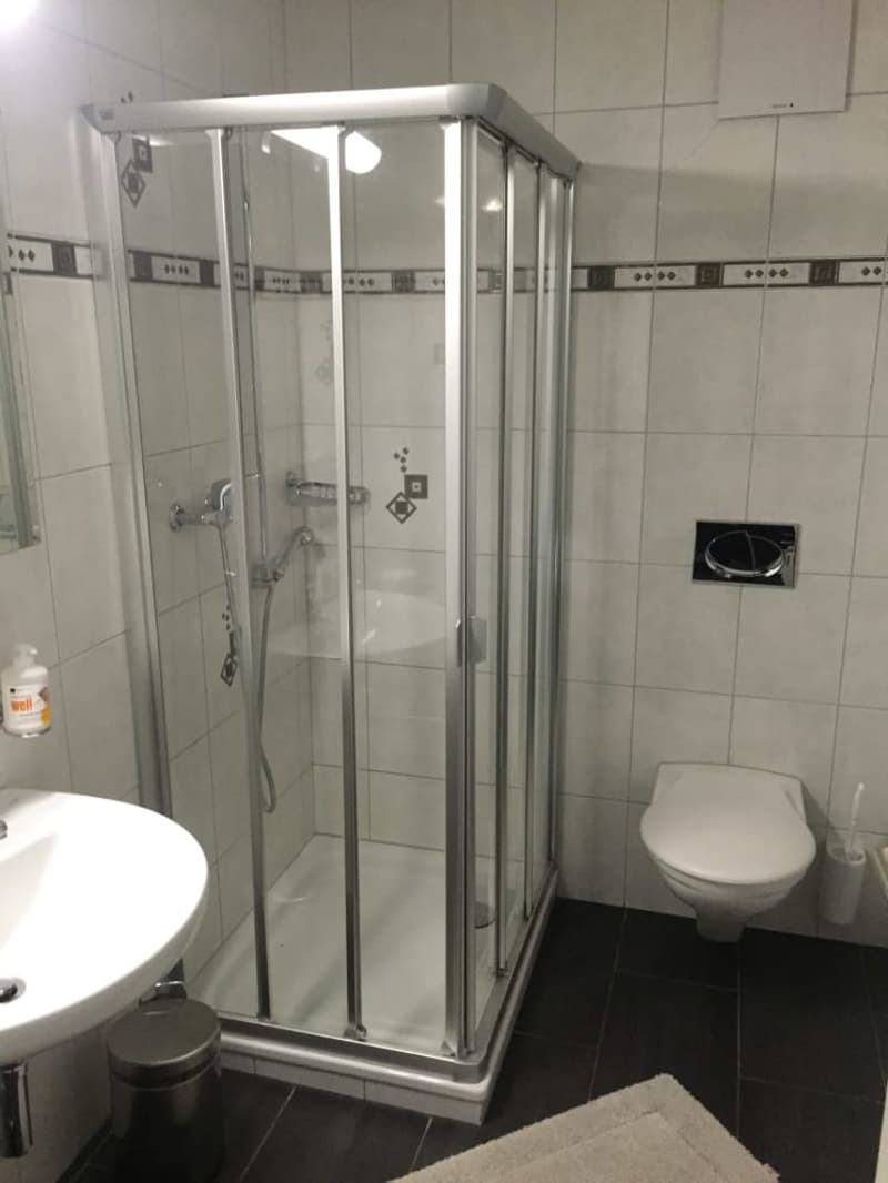 Moderne 3 1/2 Zimmer Ferienwohnung wochenweise zu vermieten (3)