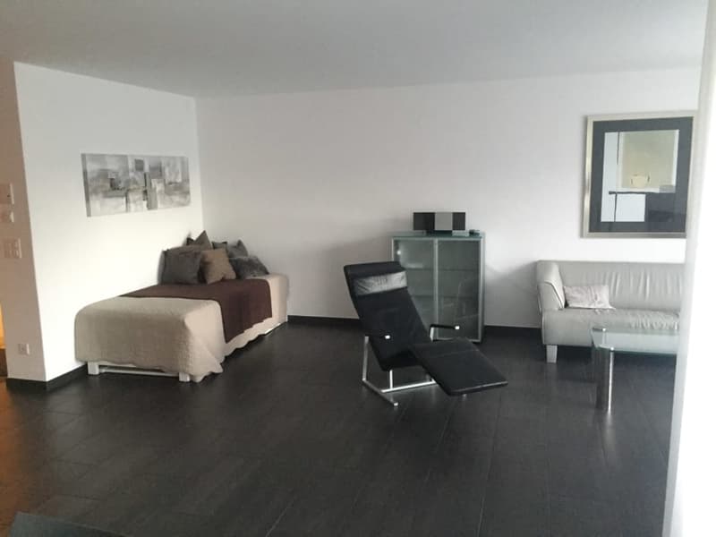 Moderne 3 1/2 Zimmer Ferienwohnung wochenweise zu vermieten (4)