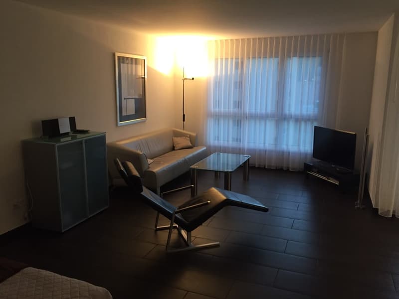 Moderne 3 1/2 Zimmer Ferienwohnung wochenweise zu vermieten (7)