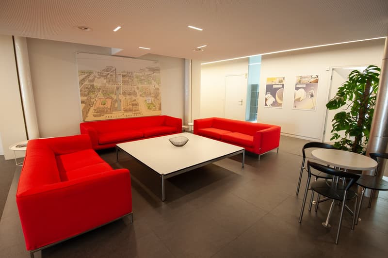 Moderne möblierte Büroräume in Bürogemeinschaft, Zürich-West (Technopark) (2)