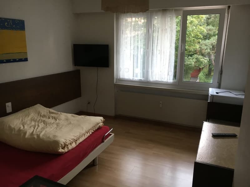 single bed, TV, window with curtains, wooden floor, wall painting, radiator