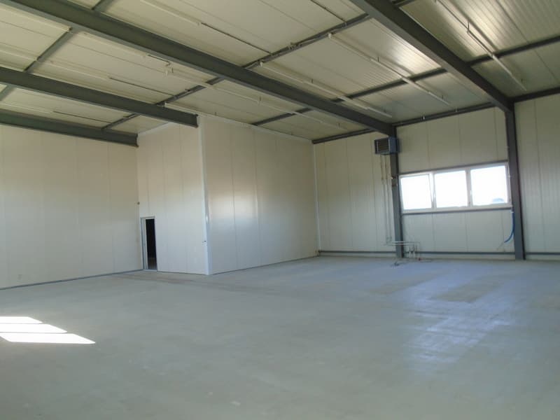 empty room, white walls, grey floor, ceiling with fluorescent lighting, two sets of windows, door leading to another room, metal beam structure