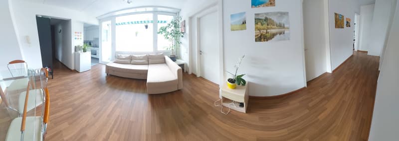 Einzelzimmer / Zimmer in WG - Furnished Single Room - 5 min zum Bahnhof Baden (17)