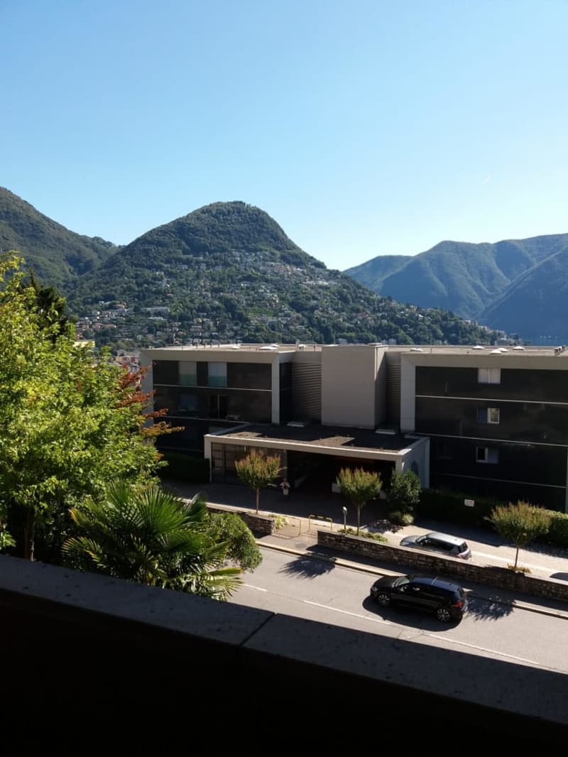 Affittasi a Massagno spazioso 3.5 locali (4)
