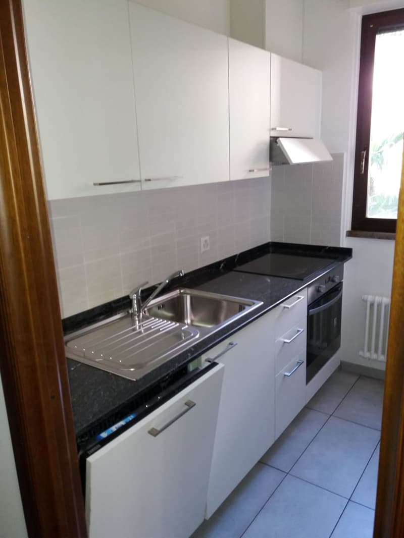 Affittasi a Massagno spazioso 3.5 locali (2)