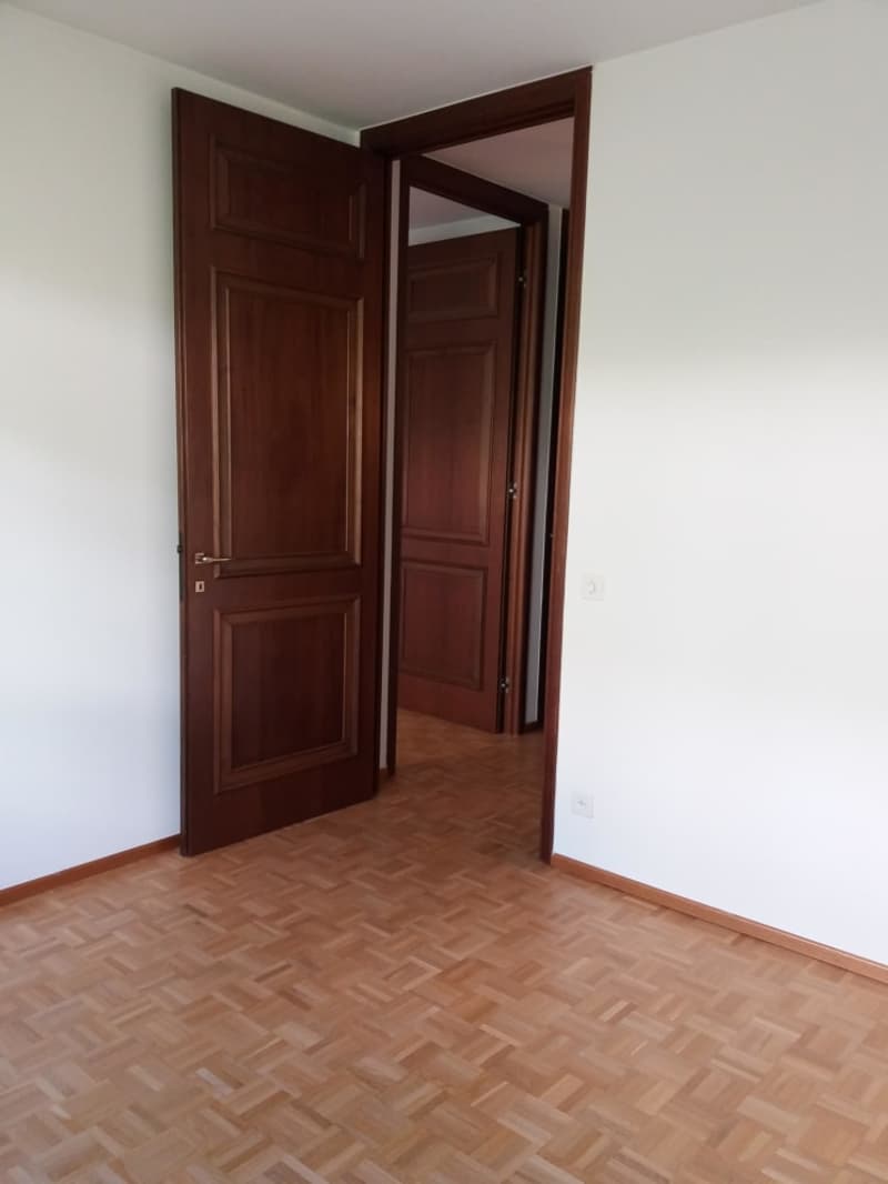 Affittasi a Massagno spazioso 3.5 locali (6)