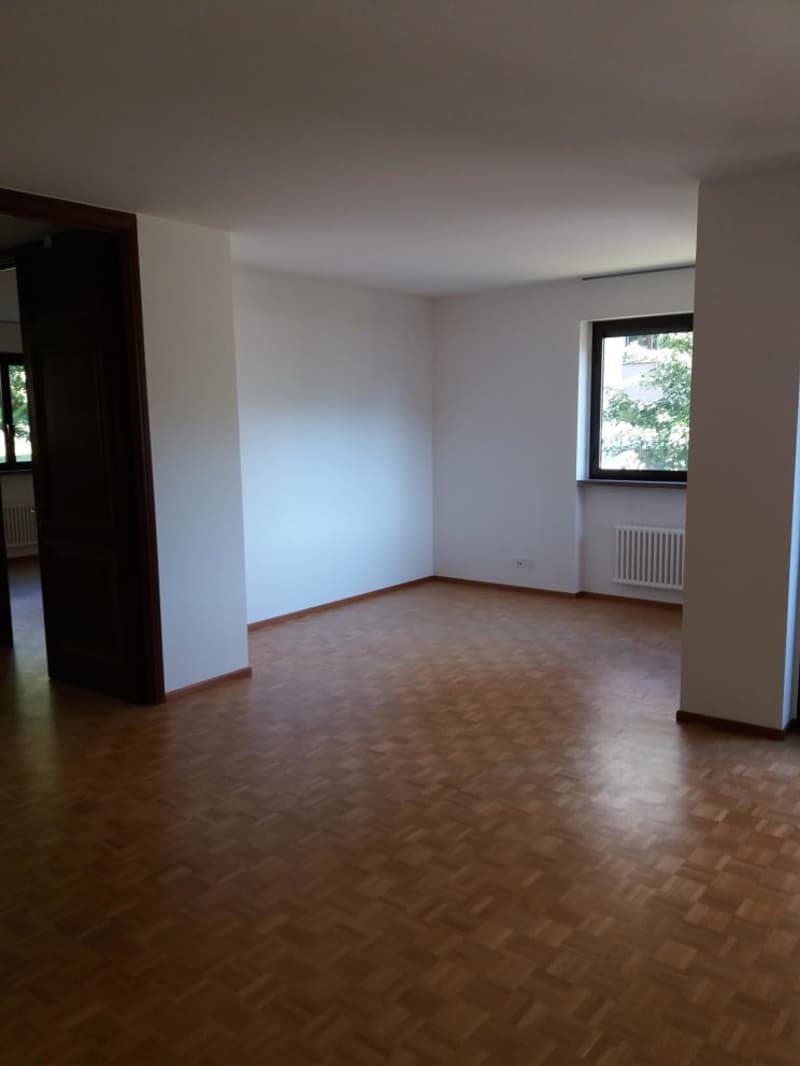 Affittasi a Massagno spazioso 3.5 locali (3)